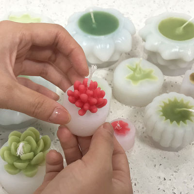 Succulent Candle Mold Durable MHC Unique 3d Candles Piccole Succulent Mini Making Kit Attrezzi per la preparazione di torte Tipo di Stampi